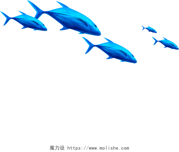 蓝色海洋海鱼群素材